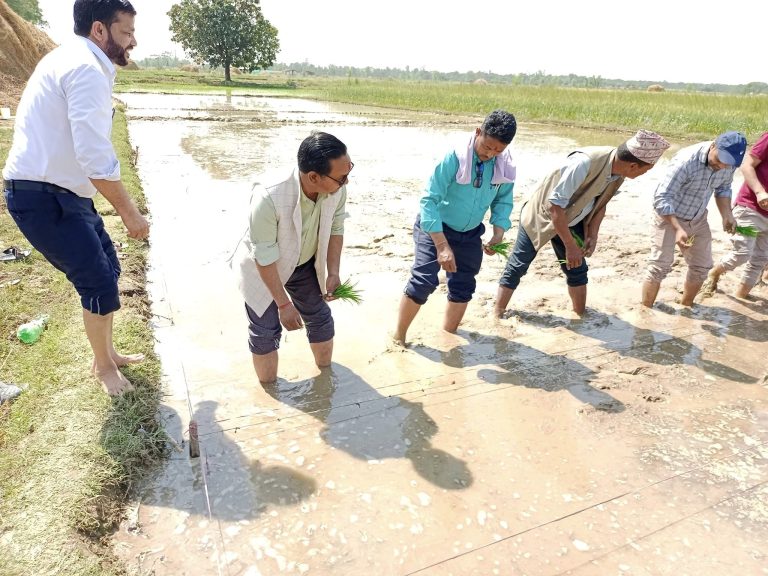 बैजनाथमा मनाइयो चैते धान दिवस