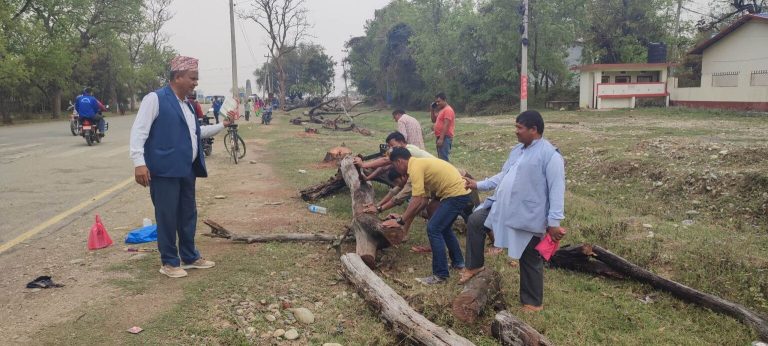 कोहलपुर चौराह नजिक सुकेका रुख हटाइयो